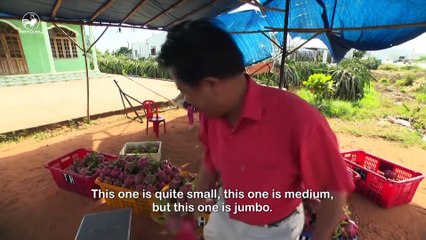 Taste of Vietnam 1- tập 23- Khám phá Phan Thiết cùng Martin Yan (phần 2)