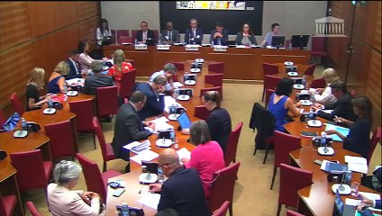 Commission des affaires culturelles : Général Daniel Ménaouine, rapporteur du groupe de travail sur le service national universel - Mardi 24 juillet 2018