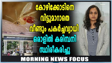 Morning News Focus | കോഴിക്കോട് കരിമ്പനി സ്ഥിരീകരിച്ചു | Oneindia Malayalam