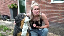 OMG! EEN HONDEN BEVALLING!!! | DierenpraatTV