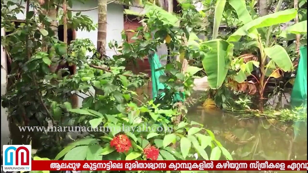 alappuzha in rain