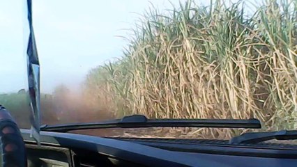 Ensinando Meu Irmão A Dirigir