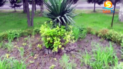 Nazirlikdən hava ilə bağlı XƏBƏRDARLIQ