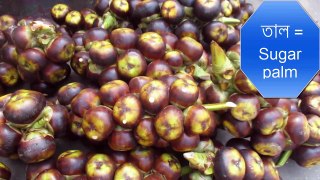 Bangladeshi Fruits with English Names