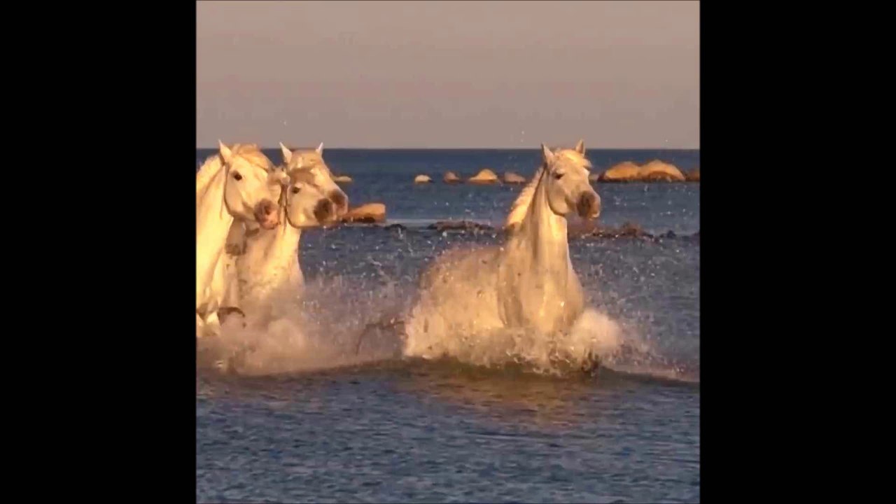 Matthias Reim - Hearts in Heaven