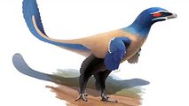 Blue jay-like dinosaur, close to human sized discovered in Alberta