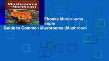 viewEbooks & AudioEbooks Mushrooms of the Northeast: A Simple Guide to Common Mushrooms (Mushroom