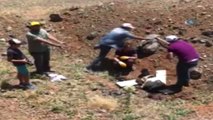 Araziye Dökülen Asfalt Ziftine Yapışan Keçiyi, Belediye İşçileri Kurtardı