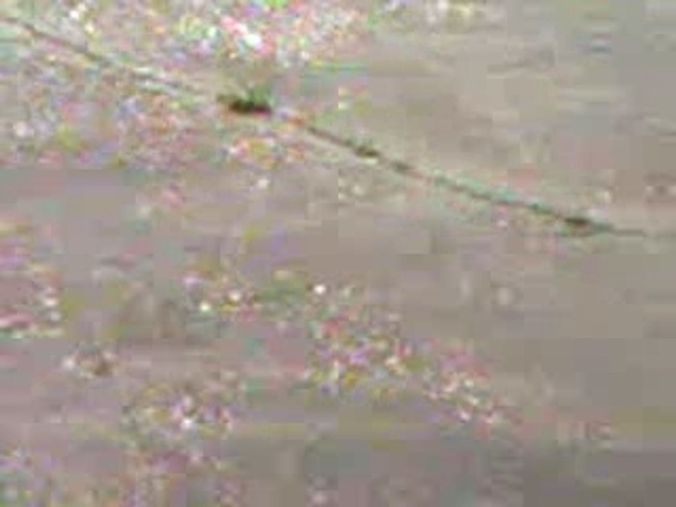 cascade voiture