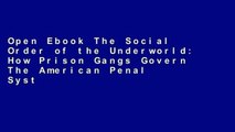 Open Ebook The Social Order of the Underworld: How Prison Gangs Govern The American Penal System