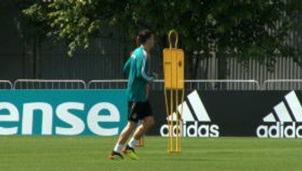 Everyone at Arsenal supports Ozil - Cech