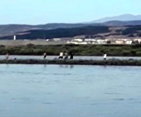 Nehir Suları Yükseldi, 4 Genç Mahsur Kaldı