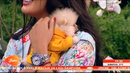 ANA KORAĆ I HUGO U NOVOM JUTRU: Zadrugarka u emisiju stigla sa svojim novim mezimcem!