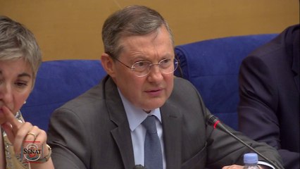 Download Video: Interrogée au Sénat sur l'enquête tardive de l'IGPN, sa cheffe rappelle que 