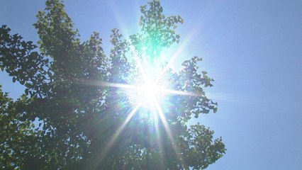 [날씨] 최악 폭염 언제까지?...태풍 '종다리' 변수로 등장 / YTN