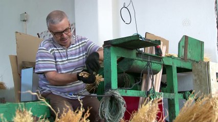 Hasat edilen süpürge otları bağlanmaya başladı - EDİRNE
