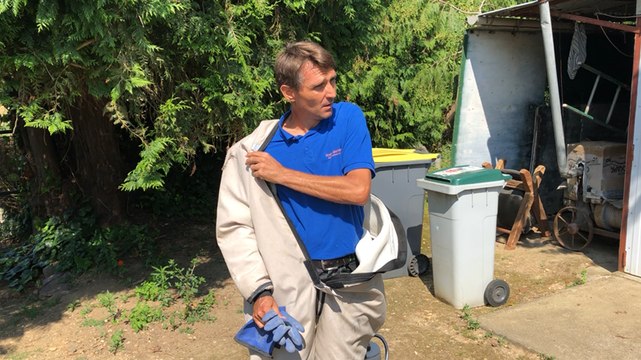 Destruction d’un nid de frelons asiatiques