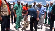 'Gönüllü Hayvan Dostları' projesiyle sahipsiz köpek kalmayacak - KONYA