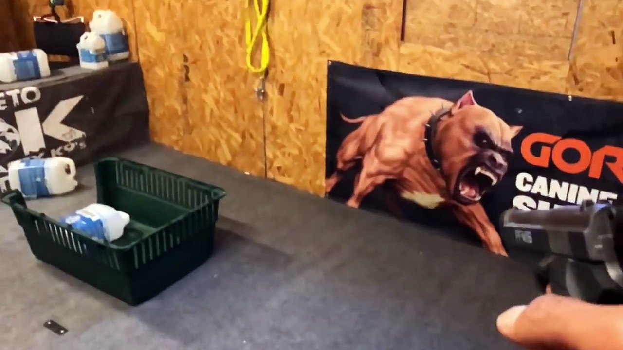 The most incredible guard dog on earth - SUPER PIT BULL!