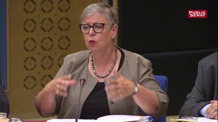 Affaire Benalla : l'audition de Marie-France Monéger, directrice de l'IGPN devant la commission d'enquête du Sénat