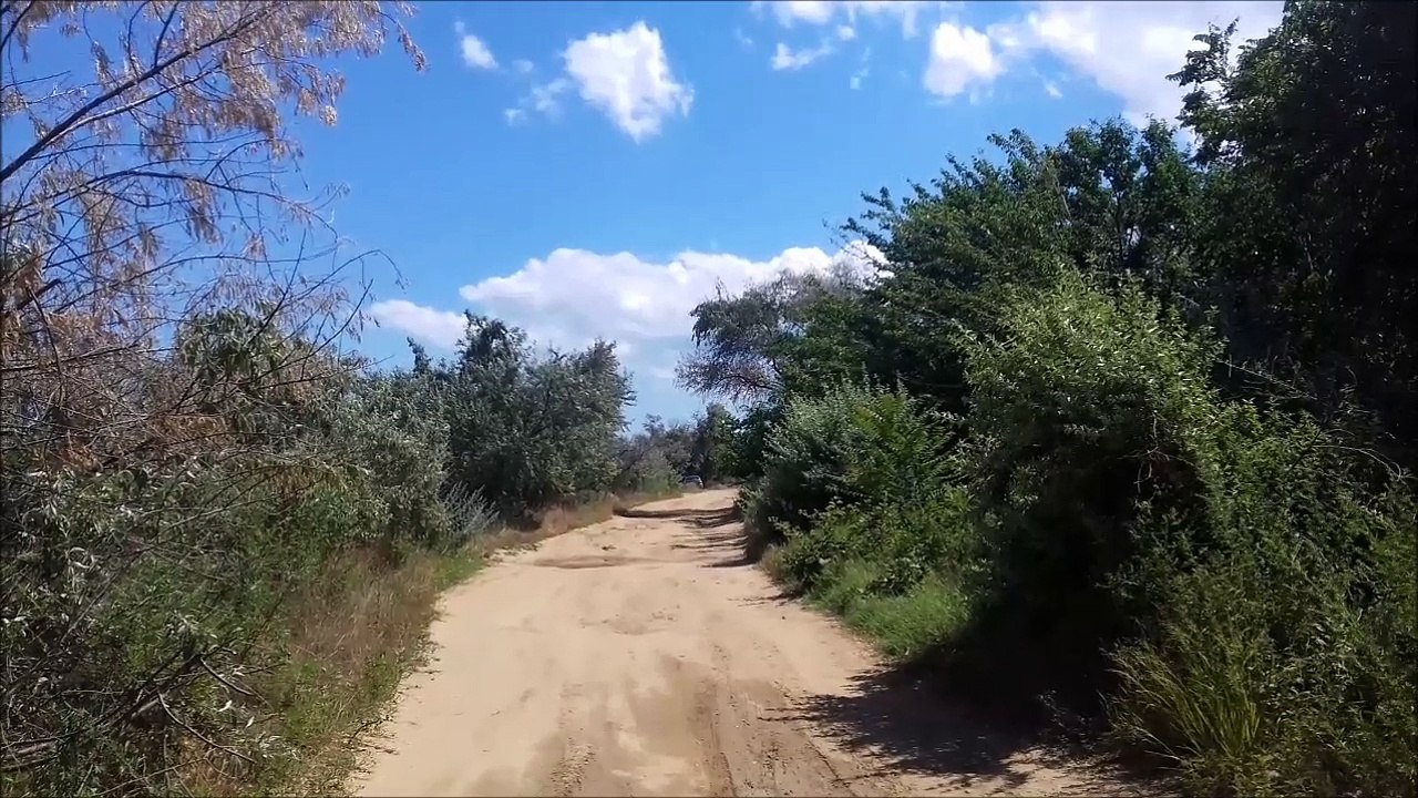 ЛЕТНЯЯ ПРОГУЛКА ВДОЛЬ ДНЕСТРОВСКОГО ЛИМАНА