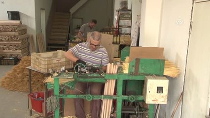 Hasat Edilen Süpürge Otları Bağlanmaya Başladı - Edirne