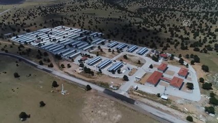 Gönüllü Hayvan Dostları" Projesiyle Sahipsiz Köpek Kalmayacak