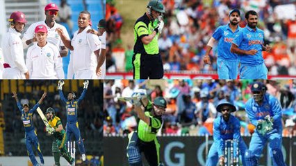 எங்கெங்கு காணினும் ஒயிட் வாஷ்தான்...என்ன காரணம்?- வீடியோ