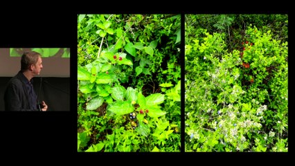 L'archaïque et ses possibles aujourd'hui - Partie7 VF