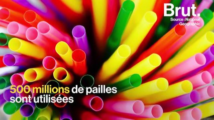 Les conséquences terribles des pailles en plastique sur l’environnement