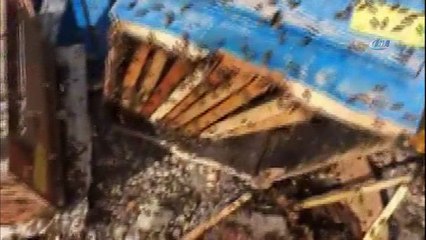 Arı kovanı yüklü kamyonun karıştığı kazanın yeni görüntüleri ortaya çıktı