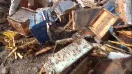 Arı Kovanı Yüklü Kamyonun Karıştığı Kazanın Yeni Görüntüleri Ortaya Çıktı
