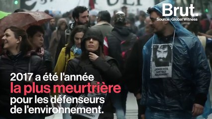 2017…  l'année la plus meurtrière pour les défenseurs de l’environnement