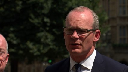 Irish Foreign Minister seeks to reassure unionists