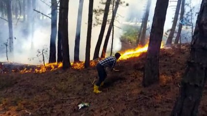 Tabiat parkında korkutan yangın