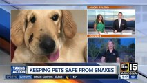 Keeping pets safe from snakes
