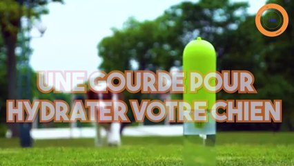 Une gourde pour hydrater facilement votre chien