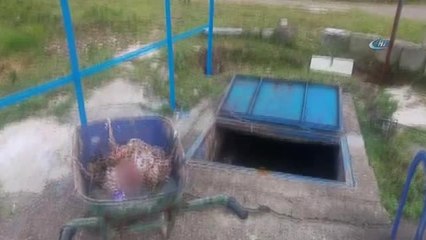 Ereğli'de Kanalizasyondan Bebek Cesedi Çıktı