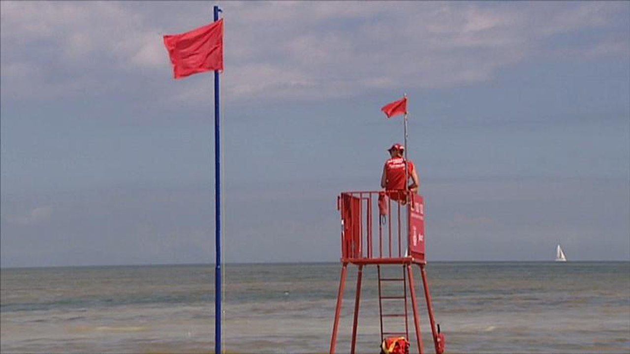 Blaualgenalarm an der Ostsee