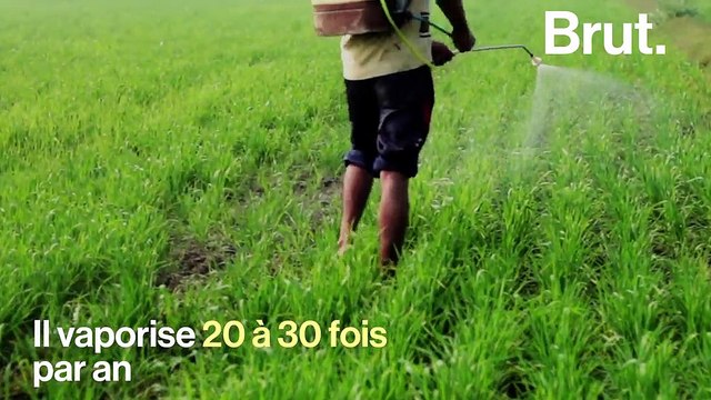 En phase terminale, Dewayne Johnson intente un procès contre Monsanto