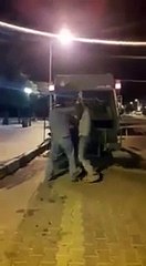 "Belediye işçileri köpekleri presleyerek öldürdü" iddiası