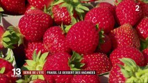 Série de l'été : la fraise de Carros, dessert des vacances