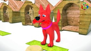 Learn Color With Dogs Bone Toddlers For Kids Nursery Rhymes Song for Children