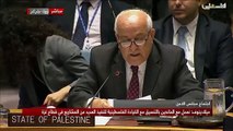 كلمة د.رياض منصور مندوب فلسطين لدى الامم المتحدة خلال جلسة مجلس الأمن حول فلسطين 24.7.2018