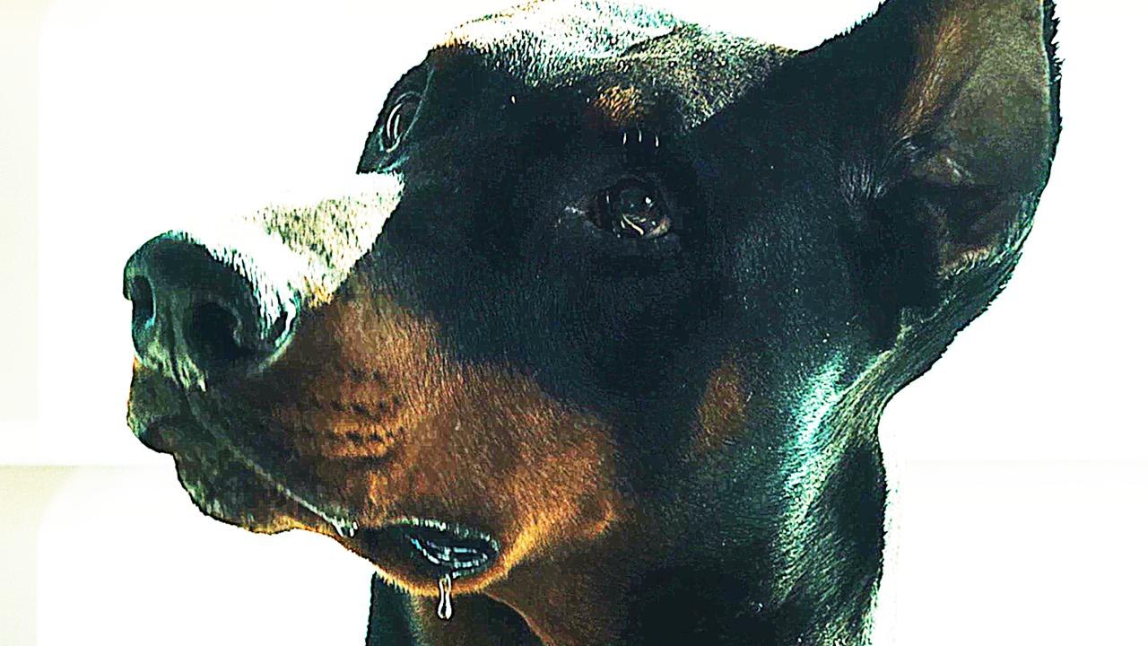 Asphaltgorillas - Teaser 1 (Deutsch) HD