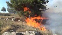 Ormanlık Alan İki Haftada 10 Defa Yandı