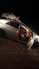 Camel on car| struggle for life|dekhiye kya huaa | Entertainment |Read description