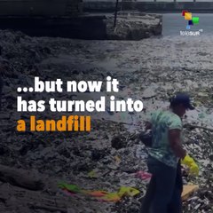 Polluted Paradise: A Beach Turned Into a Dump
