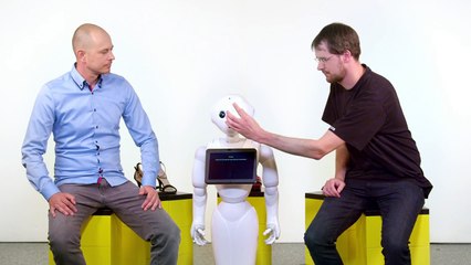 Pepper Robot In SAP Hybris Store Assistance