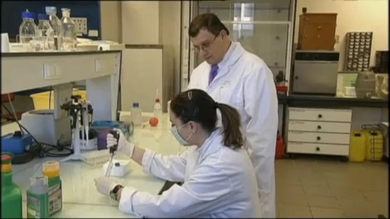 Norme europee sugli ONG valide anche per le nuove tecniche di mutagenesi